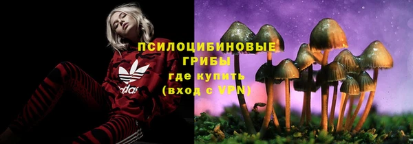 spice Няндома
