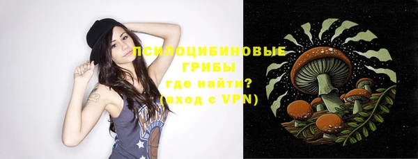spice Няндома