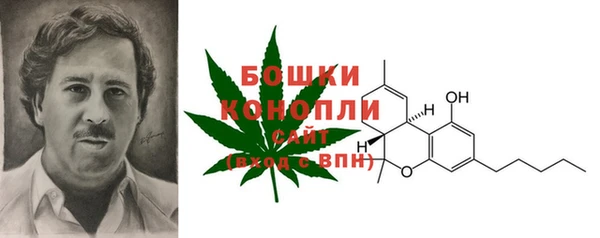 соль ск Новодвинск