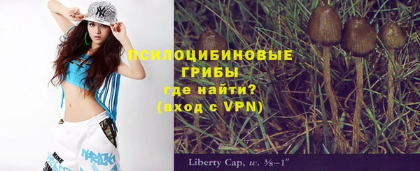 spice Няндома
