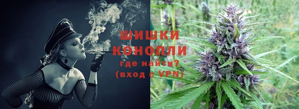 spice Няндома
