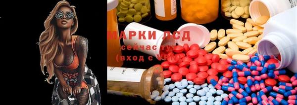 spice Няндома